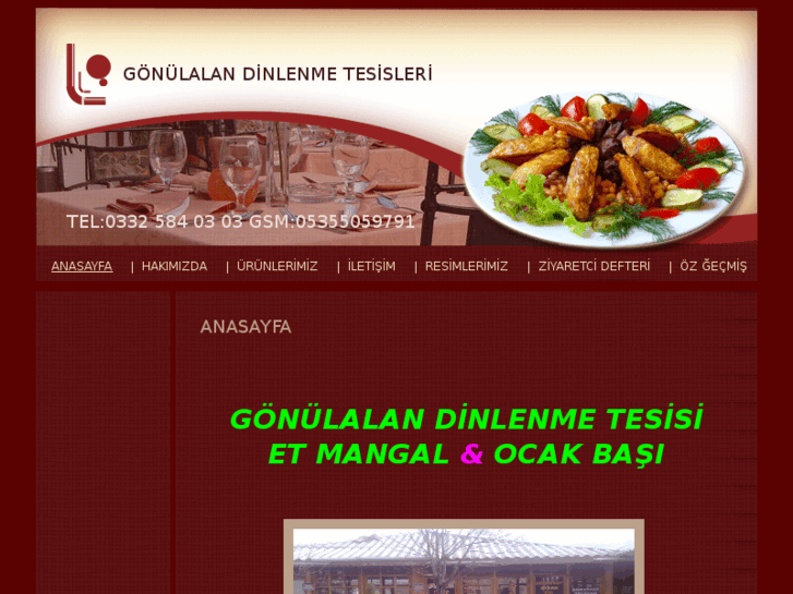 www.gonulalantesisleri.com