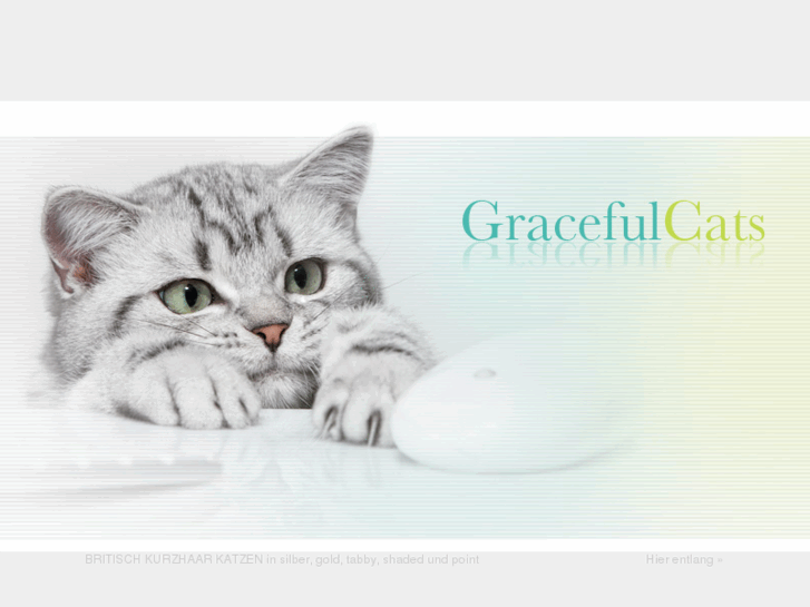 www.gracefulcats.de