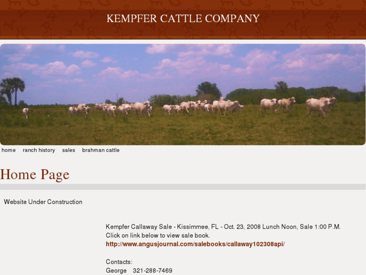 www.kempfercattleco.com