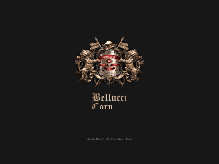 www.belluccicorp.com