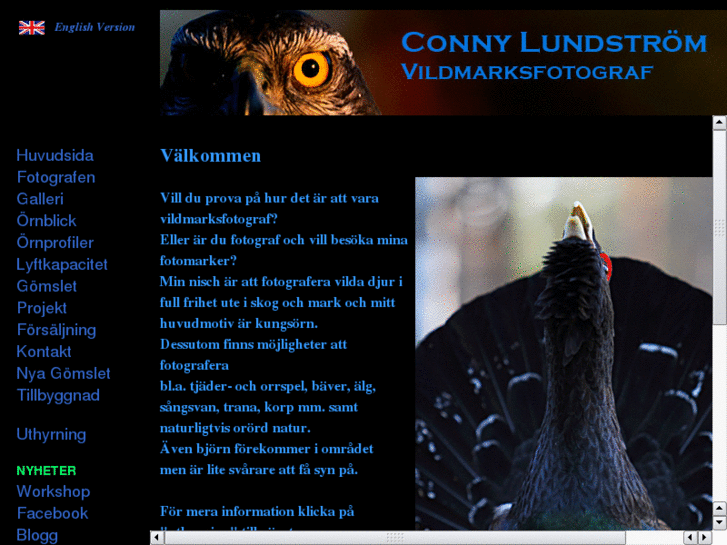 www.connylundstrom.com