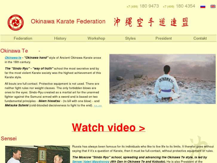 www.okinawakarate.org