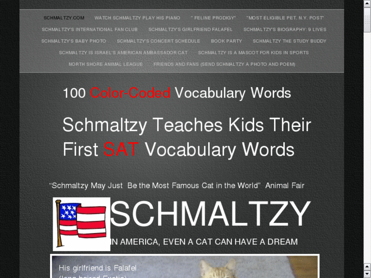 www.schmaltzy.com