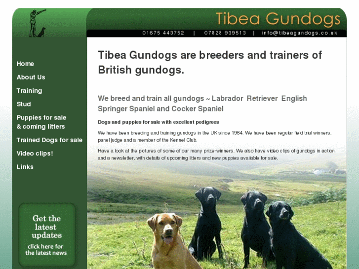 www.tibeagundogs.com