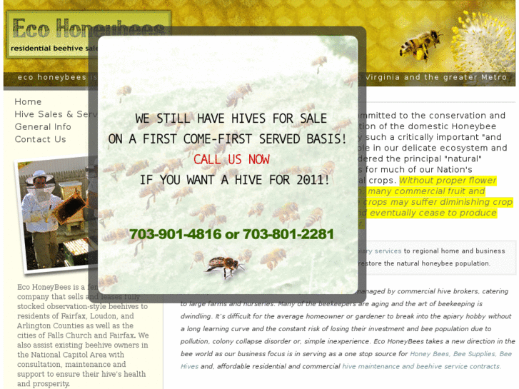 www.ecohoneybees.com