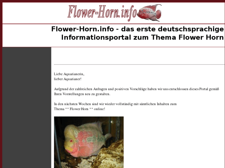 www.flower-horn.info