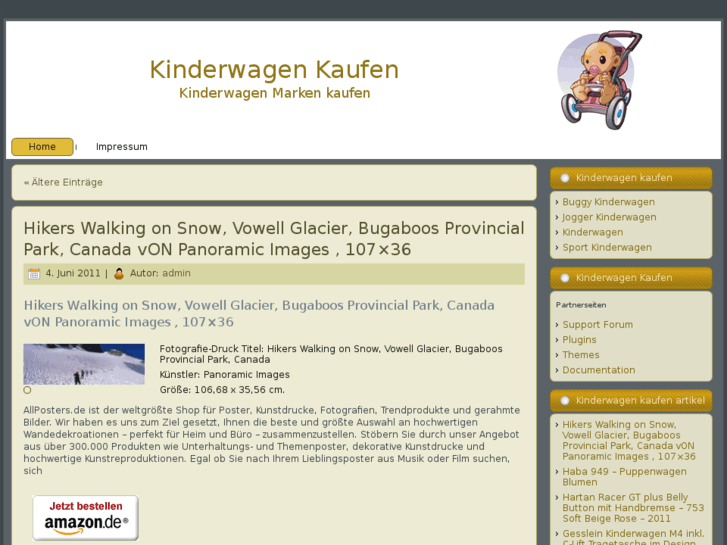 www.kinderwagen-kaufen.info