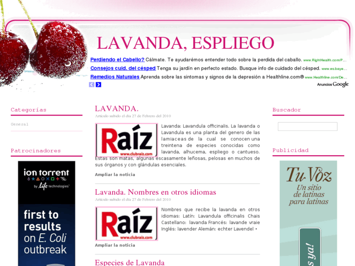 www.lavandaespliego.com