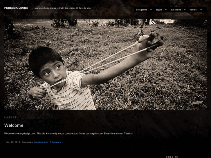 www.rleungdesign.com