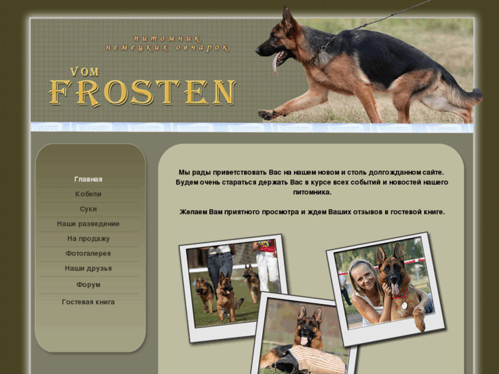 www.frosten.com