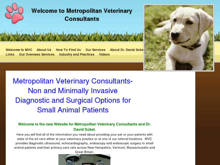 www.metrovet.com