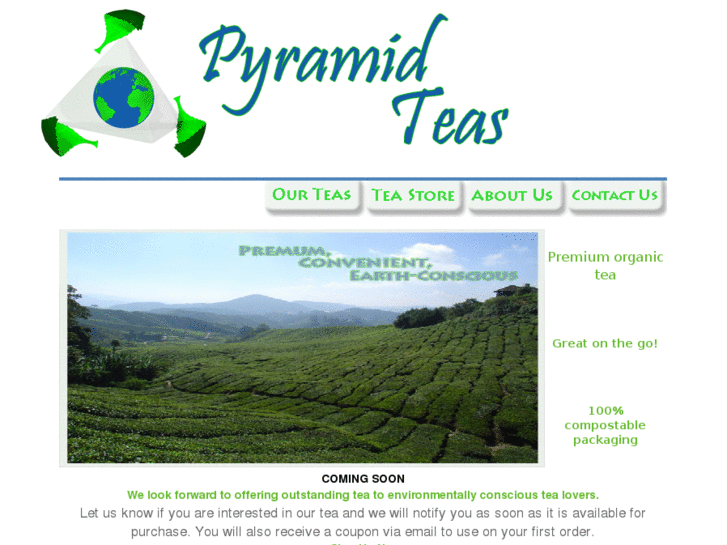 www.pyramidteas.com