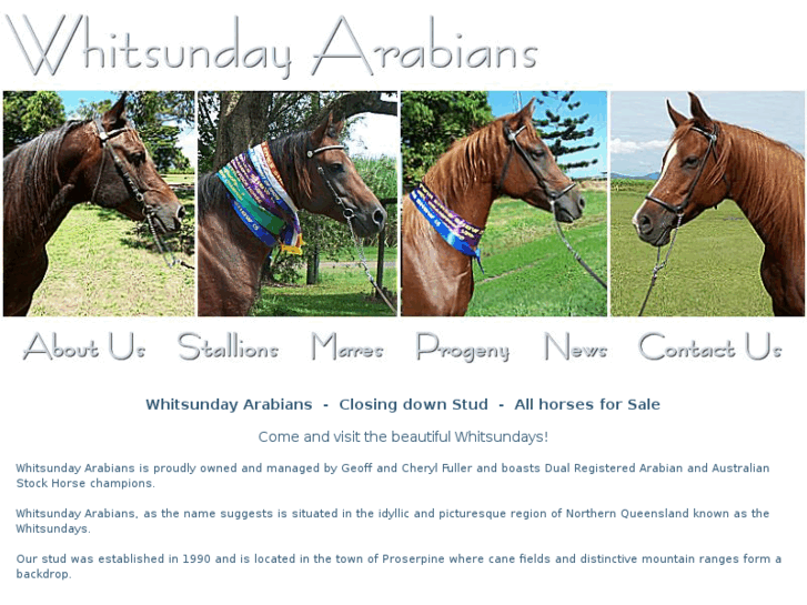 www.whitsundayarabians.com