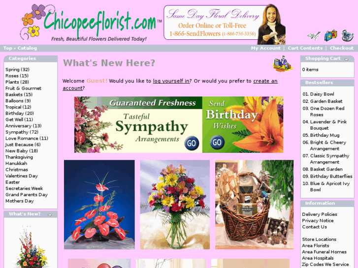 www.chicopeeflorist.com