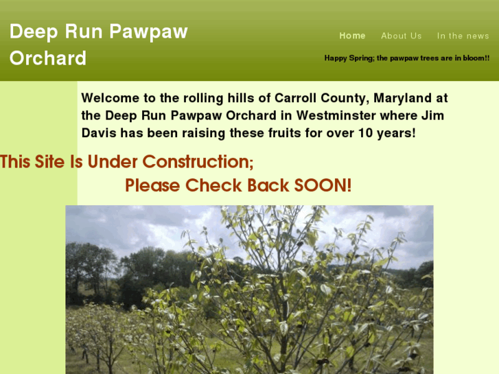 www.deeprunpawpaws.com