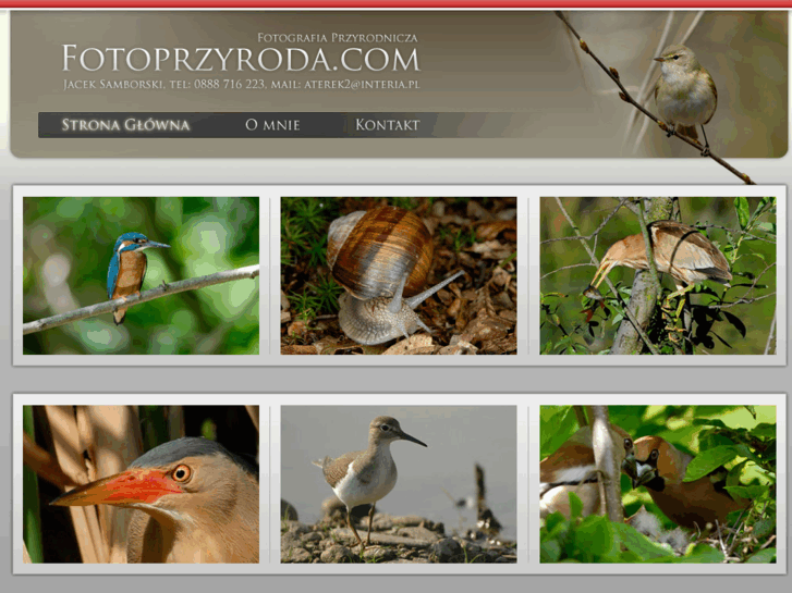 www.fotoprzyroda.com