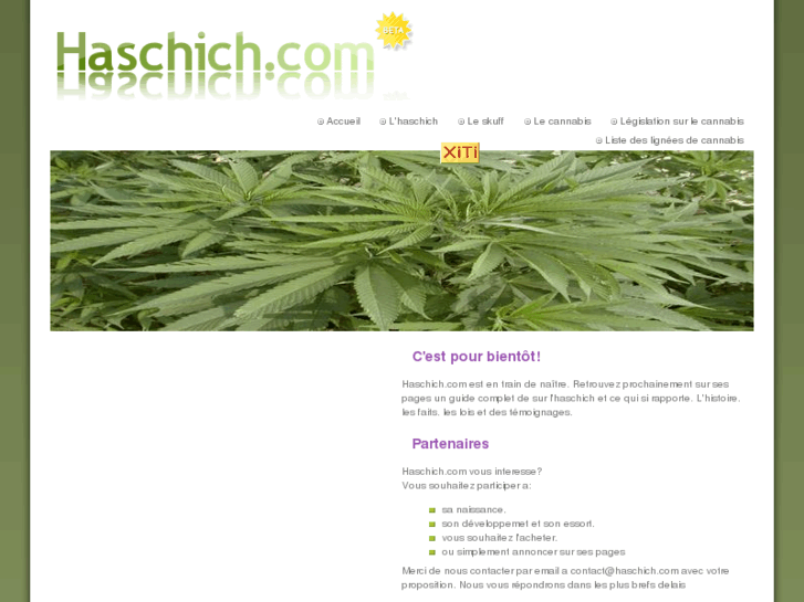 www.haschich.com