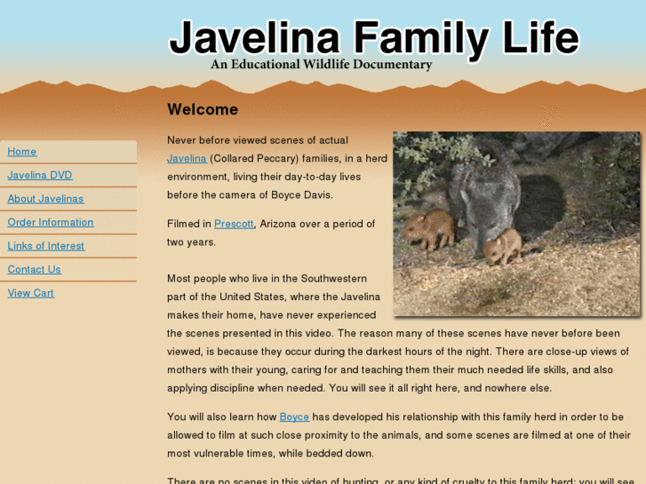 www.javelinafamilylife.com