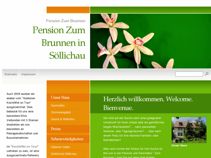 www.pension-zum-brunnen.com