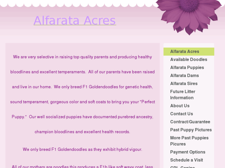 www.puppiesofalfarataacres.com