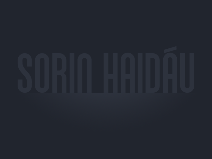 www.sorinhaidau.net