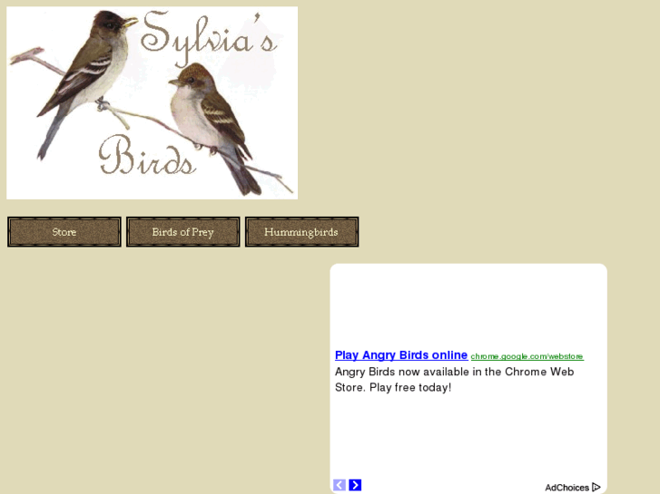 www.sylviasbirds.com