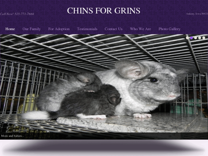 www.chinsforgrins.com