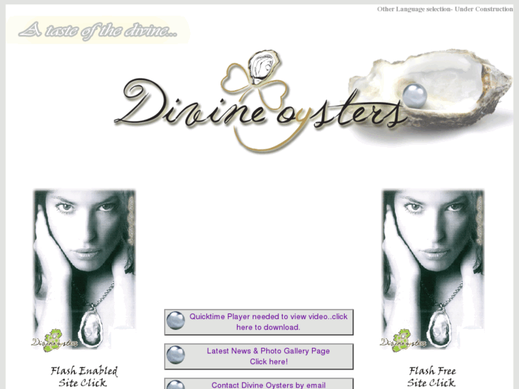 www.divine-oysters.com