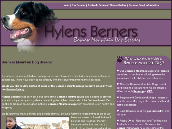 www.hylensberners.com