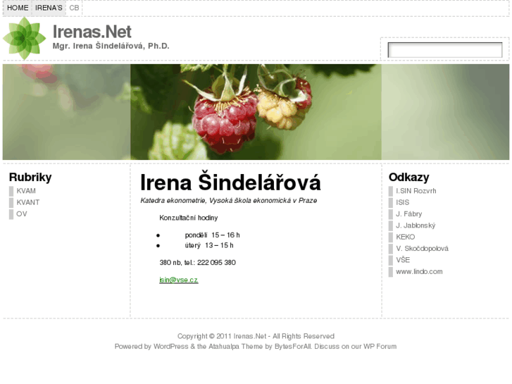 www.irenas.net