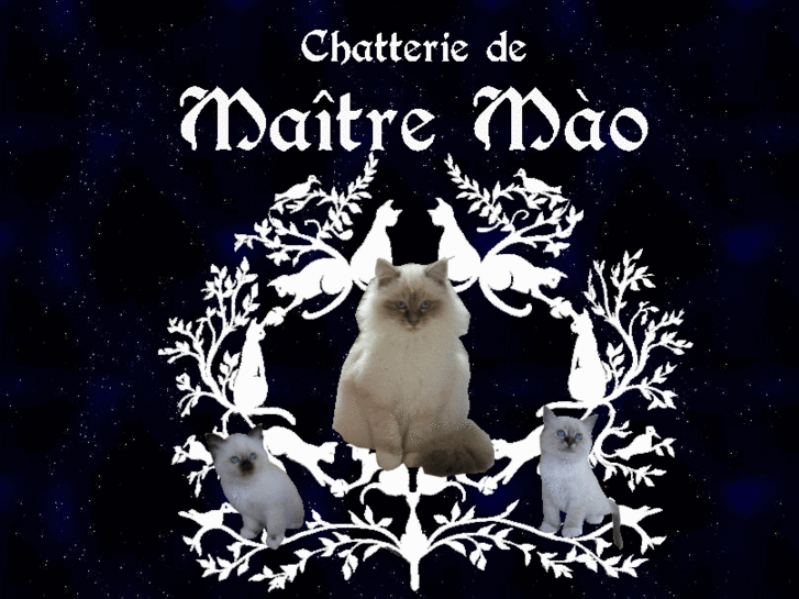 www.maitre-mao.com