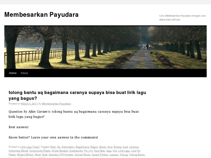 www.membesarkanpayudara.com