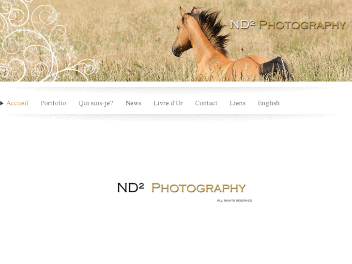 www.n2dphotography.com