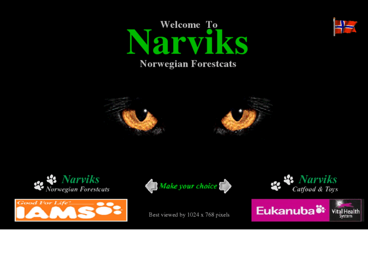 www.narviks.nl