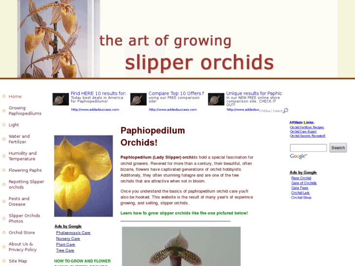 www.paphiopedilums.net