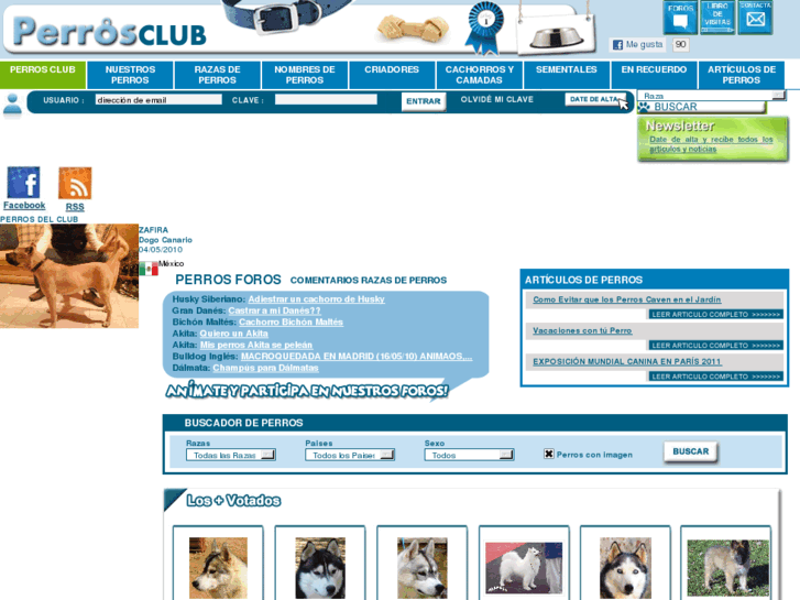 www.perrosclub.com