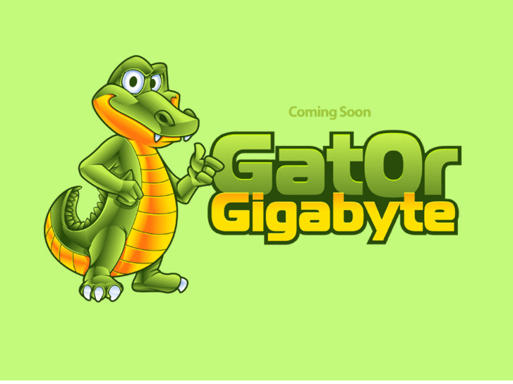 www.gatorgigabyte.com