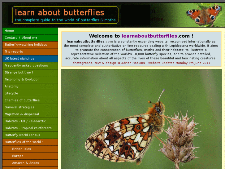 www.learnaboutbutterflies.com