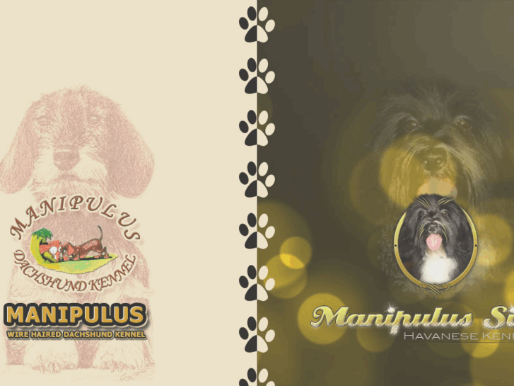 www.manipulus.hu