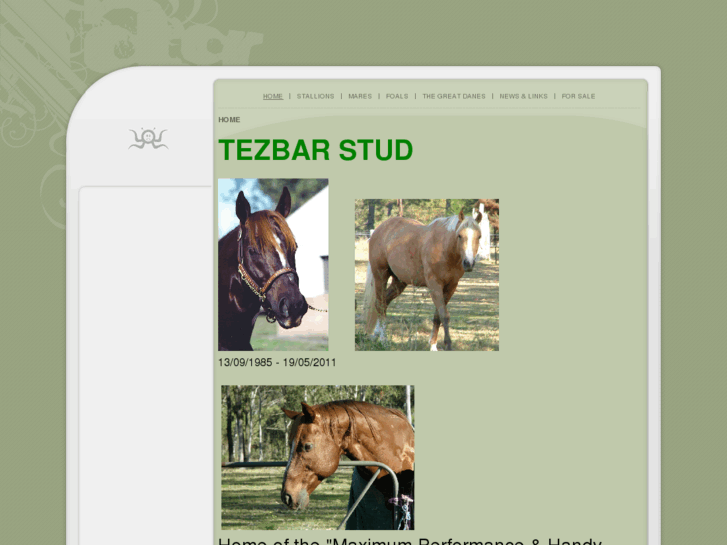 www.tezbarstud.com