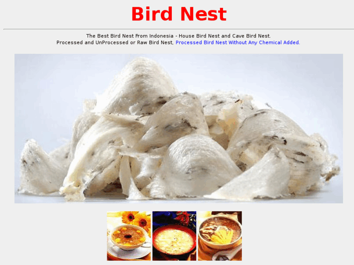 www.bird-nest.org