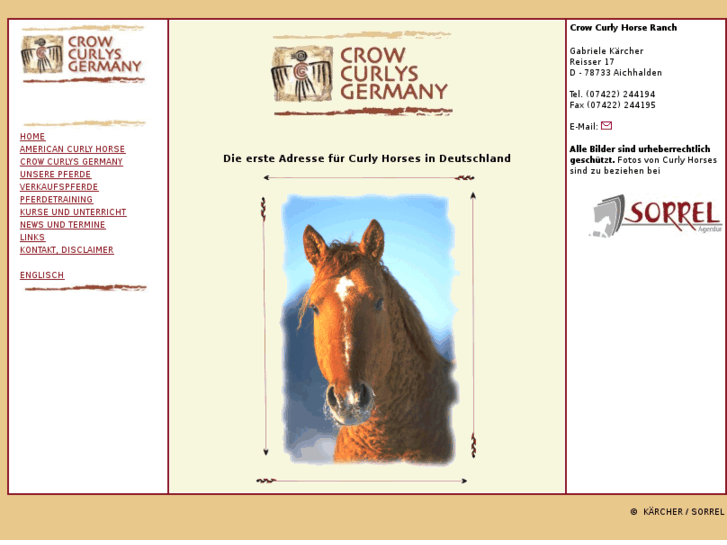 www.curly-horse.de