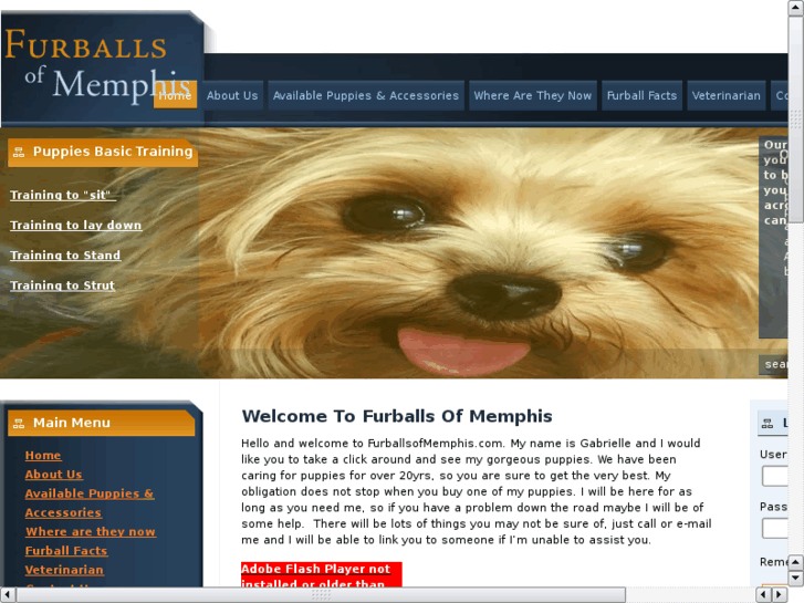 www.furballsofamerica.com