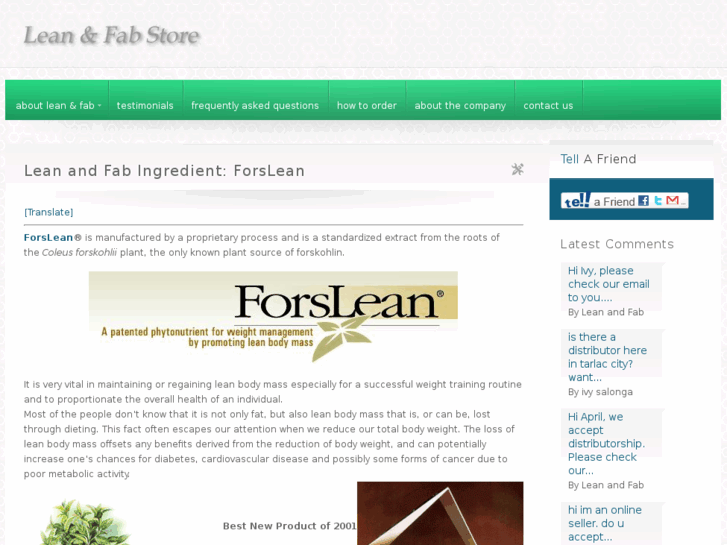 www.leanandfabstore.com