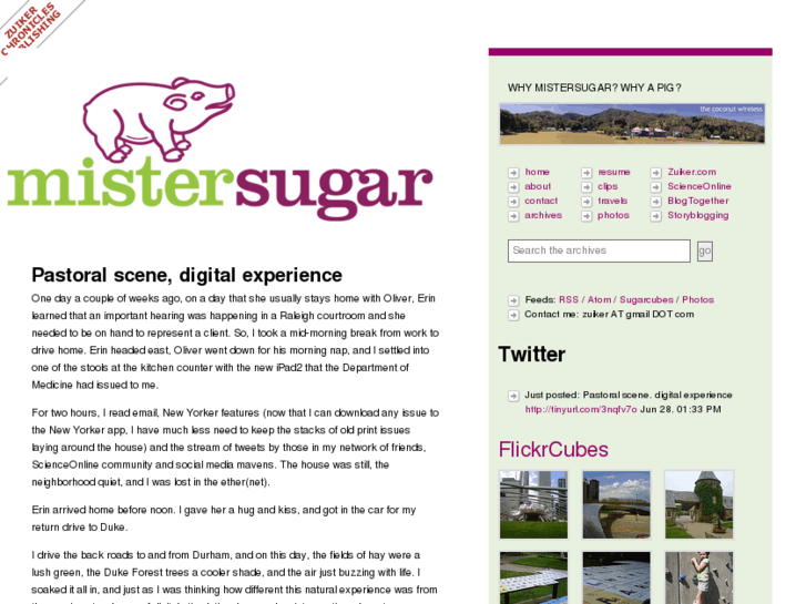 www.mistersugar.com