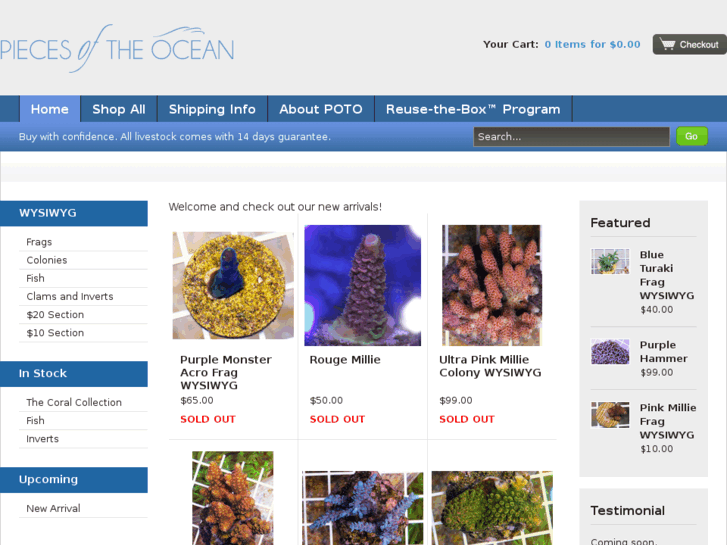 www.piecesoftheocean.com