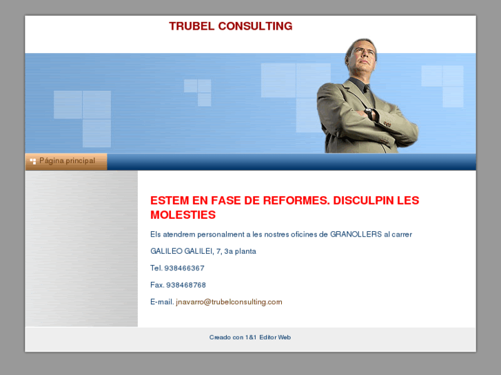 www.trubelconsulting.com