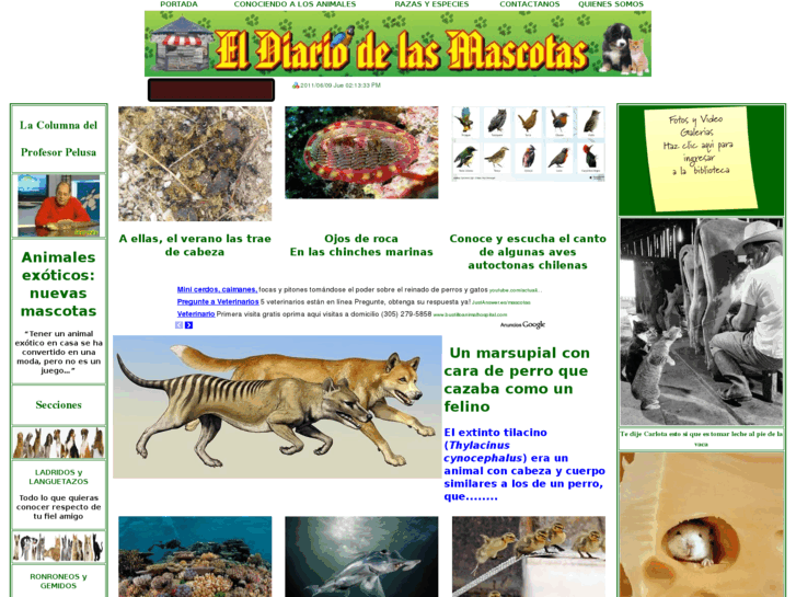 www.eldiariodelasmascotas.com