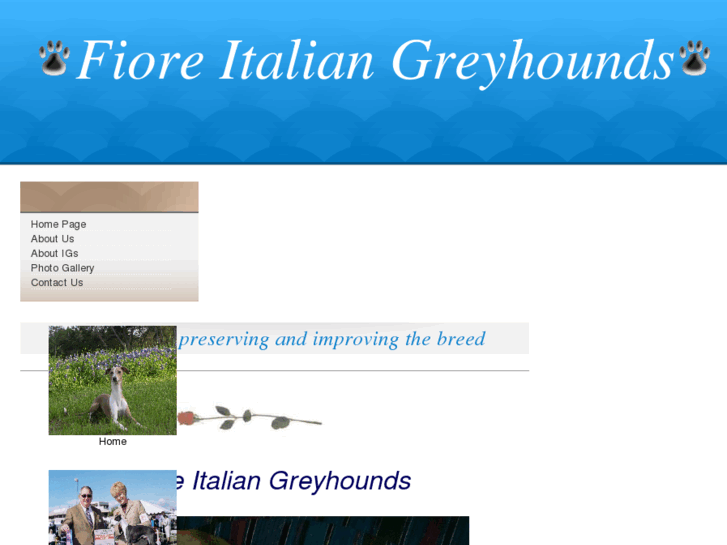 www.fioreitaliangreyhounds.com