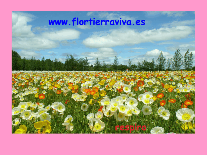 www.flortierraviva.es